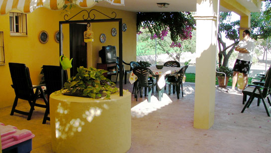 cemento impreso 3 cemento impreso 3